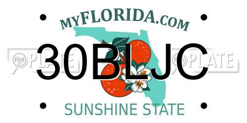 30BLJC Florida License Plate