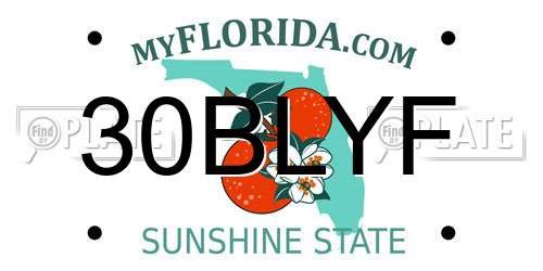 30BLYF Florida License Plate