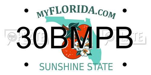 30BMPB Florida License Plate