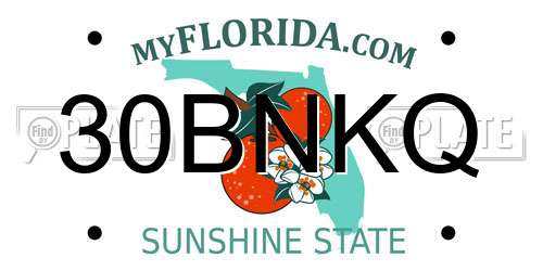 30BNKQ Florida License Plate