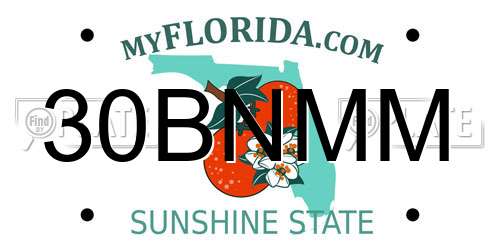 30BNMM Florida License Plate