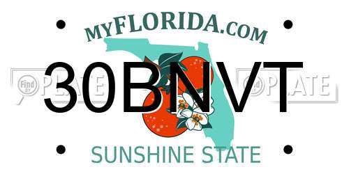 30BNVT Florida License Plate