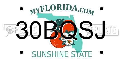 30BQSJ Florida License Plate