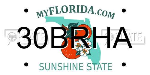30BRHA Florida License Plate