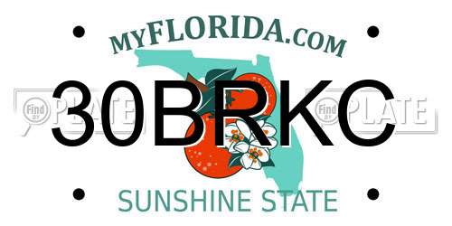 30BRKC Florida License Plate