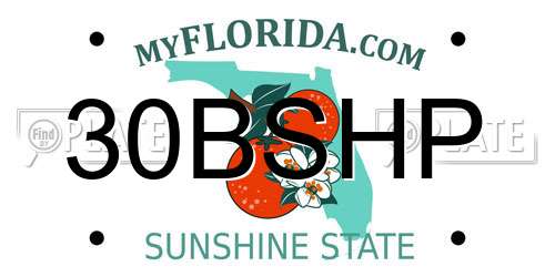 30BSHP Florida License Plate