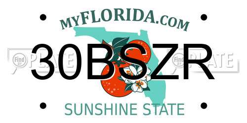 30BSZR Florida License Plate
