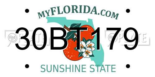 30BT179 Florida License Plate