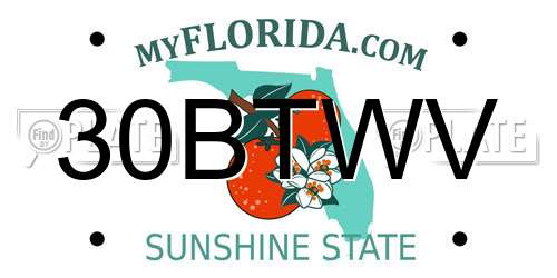 30BTWV Florida License Plate
