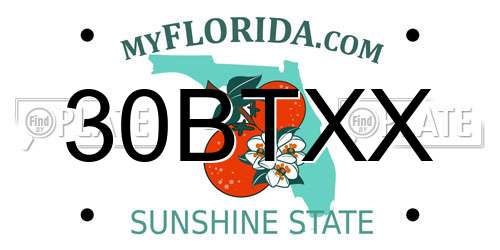 30BTXX Florida License Plate