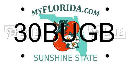 30BUGB Florida License Plate