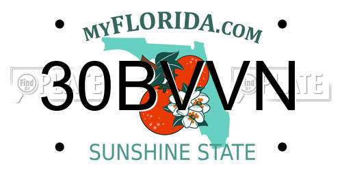 30BVVN Florida License Plate