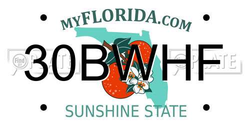 30BWHF Florida License Plate