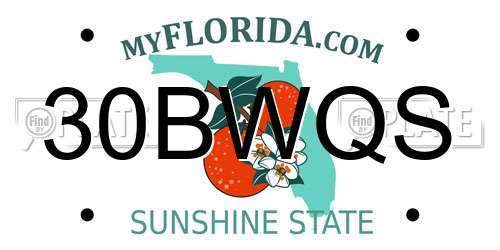 30BWQS Florida License Plate