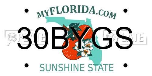 30BYGS Florida License Plate