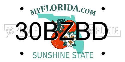 30BZBD Florida License Plate