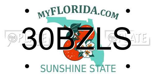 30BZLS Florida License Plate