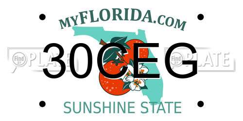 30CEG Florida License Plate