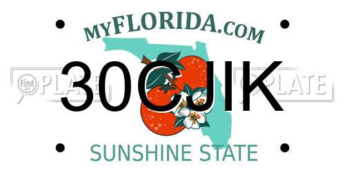 30CJIK Florida License Plate