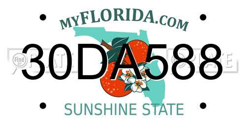30DA588 Florida License Plate