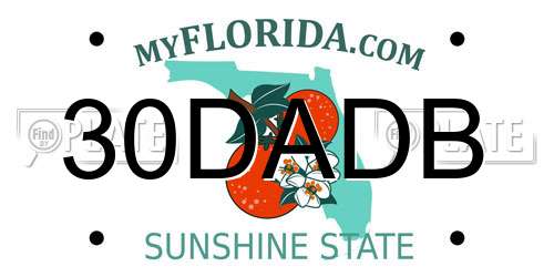 30DADB Florida License Plate