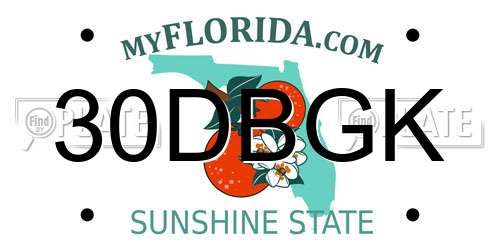 30DBGK Florida License Plate