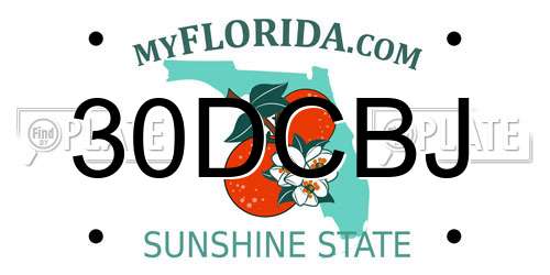 30DCBJ Florida License Plate