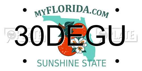 30DEGU Florida License Plate