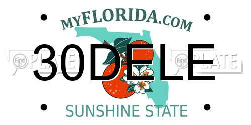 30DELE Florida License Plate