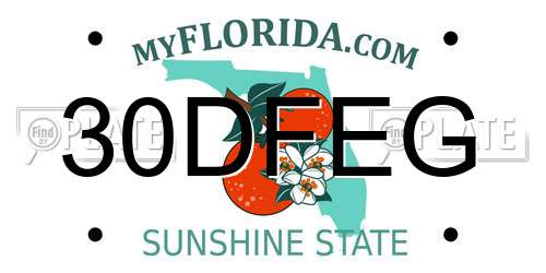 30DFEG Florida License Plate