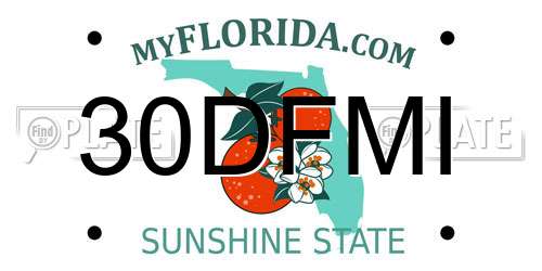30DFMI Florida License Plate