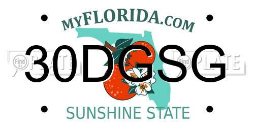 30DGSG Florida License Plate