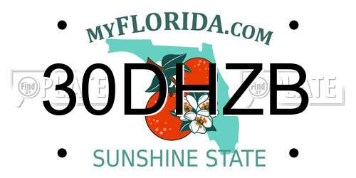 30DHZB Florida License Plate
