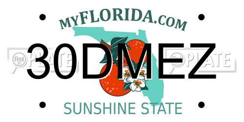 30DMEZ Florida License Plate