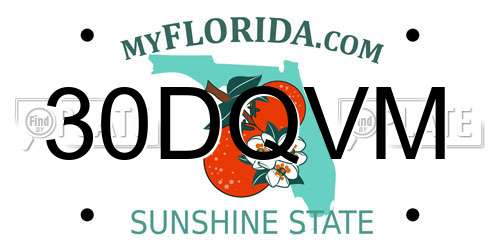 30DQVM Florida License Plate