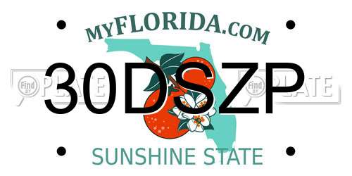 30DSZP Florida License Plate