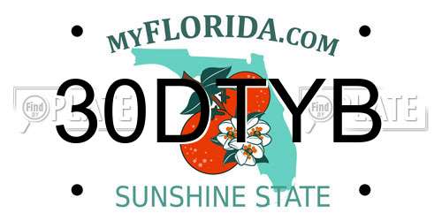 30DTYB Florida License Plate