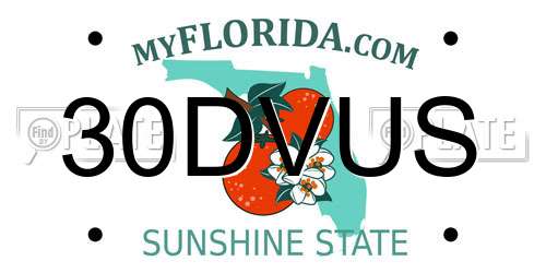30DVUS Florida License Plate
