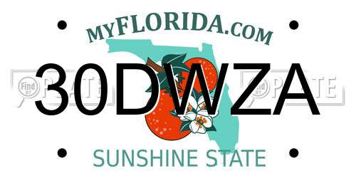 30DWZA Florida License Plate