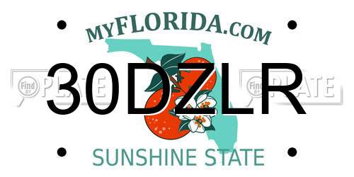 30DZLR Florida License Plate