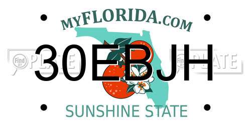 30EBJH Florida License Plate