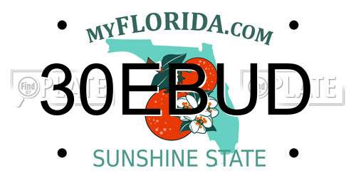 30EBUD Florida License Plate