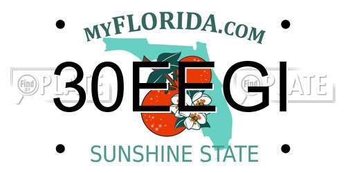 30EEGI Florida License Plate