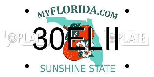 30ELII Florida License Plate