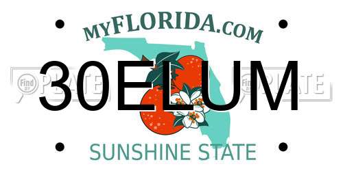 30ELUM Florida License Plate