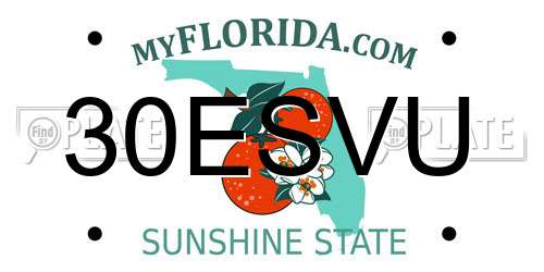 30ESVU Florida License Plate