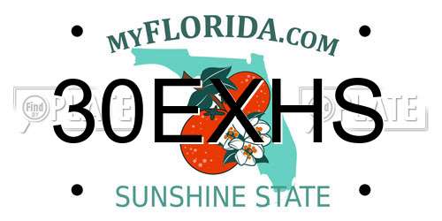 30EXHS Florida License Plate