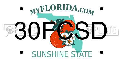 30FCSD Florida License Plate