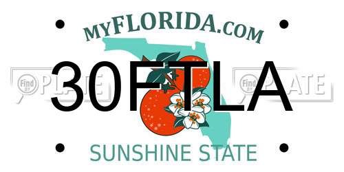 30FTLA Florida License Plate