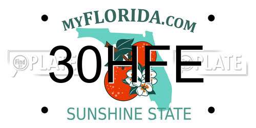 30HFE Florida License Plate